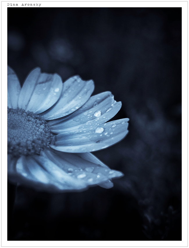 tears_are_falling_by_aronskydina