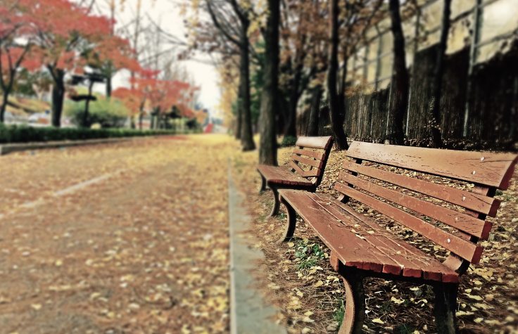 brown-wooden-bench-with-brown-dried-leaves